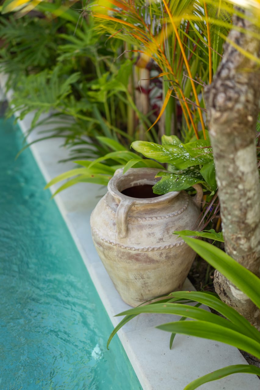 Terracotta urn beside the pool